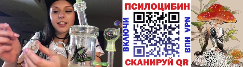 Псилоцибиновые грибы Cubensis  Суворов 